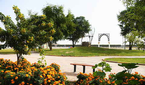 حديقة الملك فهد بالمدينة