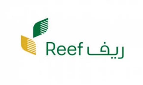 هل المحاصيل البعلية موجودة في مكة المكرمة؟ ريف يُجيب