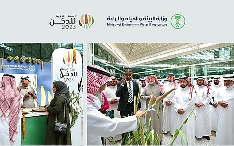 انطلاق السنة الدولية للدخن 2023