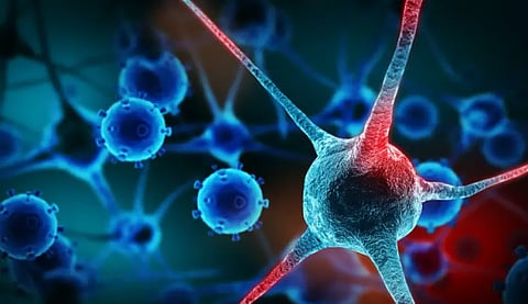 أكثر أنواع السرطانات انتشارًا في الخليج