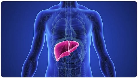 أعراض تضخم الكبد