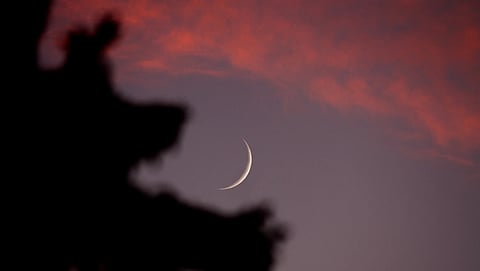 أنباء عن ثبوت رؤية شهر شعبان 1444 هـ