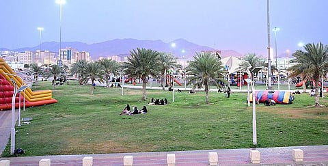 حديقة الأراك - أرشيفية