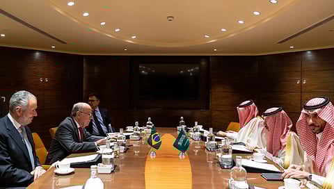 وزير الخارجية يلتقي نظيره البرازيلي