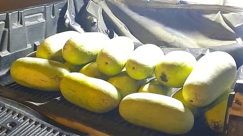 جانب من المضبوطات