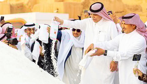 موسم ملح القصب