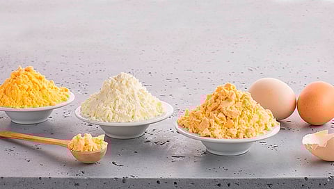 البيض البودرة