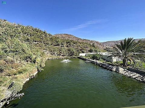 تجربة الاستزراع السمكي