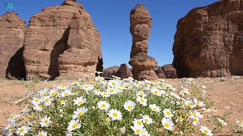 باحث في التاريخ يكشف أهمية ومكانة العُلا
