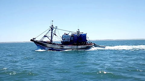 نشاط قوارب الصيد