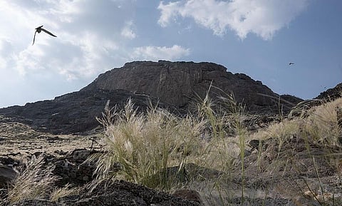 جبل النور - أرشيفية