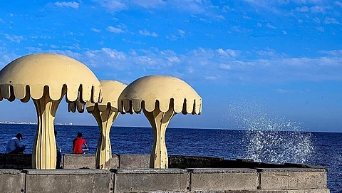 محافظة ضباء