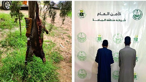 القبض على مخالفين