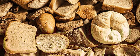 «الغذاء والدواء»: 4 إرشادات للاستفادة من فائض الخبز