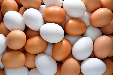 البيض - أرشيفية