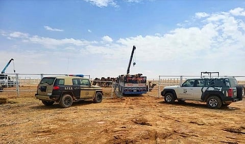 هيئة تطوير محمية الملك سلمان بن عبد العزيز الملكية