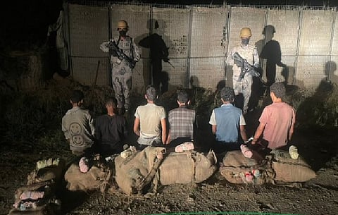 القبض على (6) أشخاص لتهريبهم القات المخدر