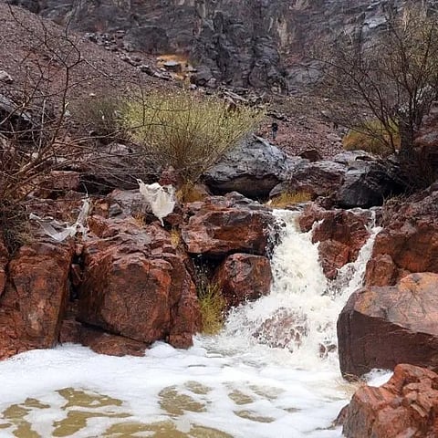 شاهد.. جمال الطبيعة الخلابة في محافظة ميسان
