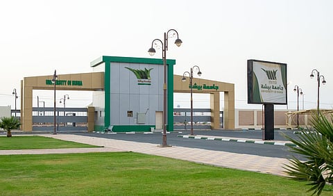 جامعة بيشة