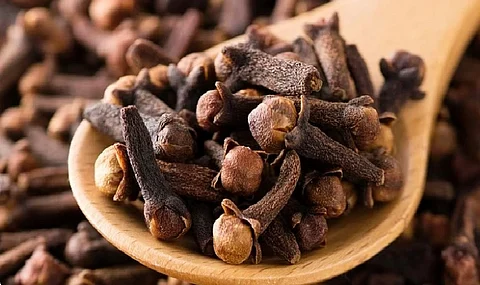 القرنفل