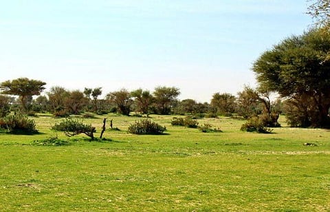 محمية الإمام تركي بن عبدالله