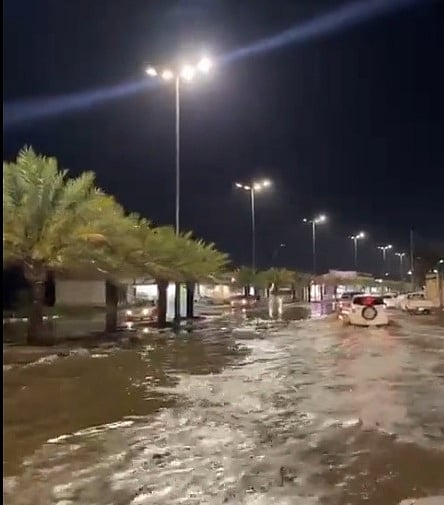 بالفيديو.. أمطار غزيرة على تربة