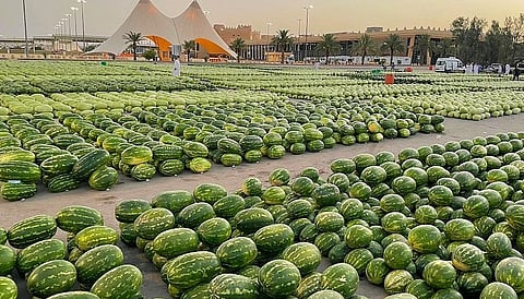 سوق الحبحب في القصيم