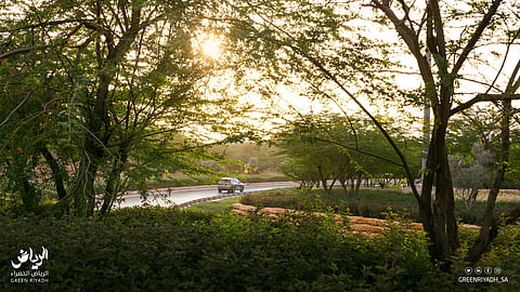 برنامج الرياض الخضراء