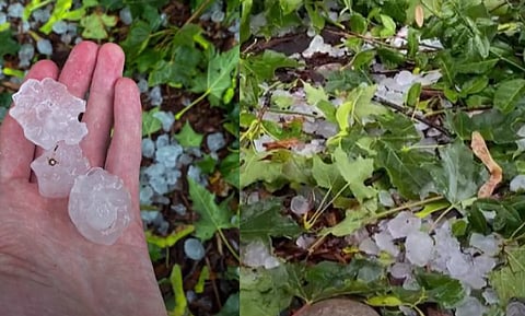 سقوط حبات الثلوج