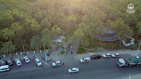 جادة النخيل في محافظة عنيزة