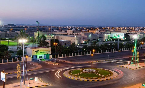 جامعة بيشة