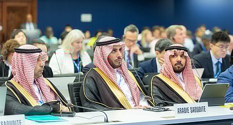 دورة مجلس الاتحاد الدولي للاتصالات 2023