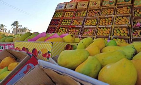 أسبوع المانجو بالعلا