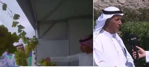 بالفيديو.. صاحب مزرعة يوضّح أصناف الفواكه المشارك بها في مهرجان عسير