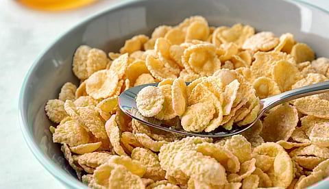 رقائق الذرة