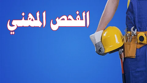 برنامج الفحص المهني