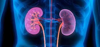 أمراض الكلى