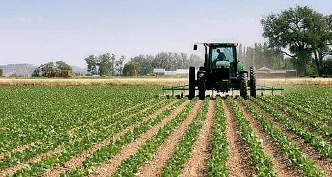 تأهيل الأراضي بالمملكة