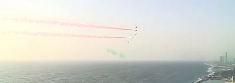 الصقور السعودية