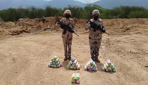 نبات القات المخدر