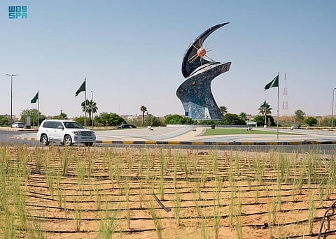 زراعة أشجار