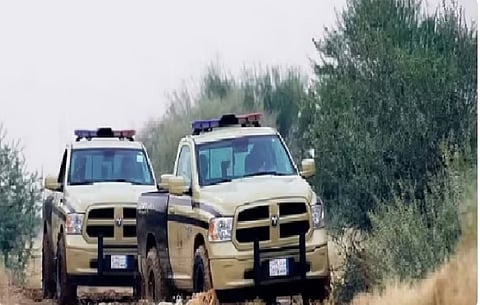 الأمن البيئي