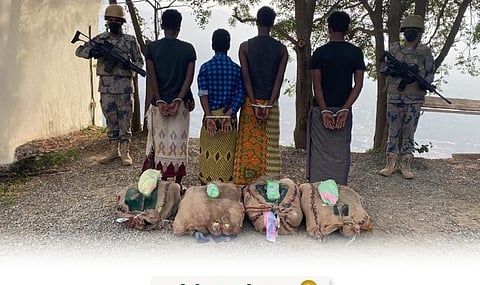 حرس الحدود بجازان يضبط  4 مخالفين لمحاولتهم تهريب 80 كيلوجرامًا من القات