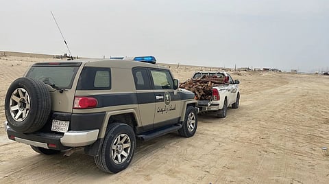 مخالف لنظام البيئة