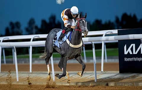 سباقات الخيول