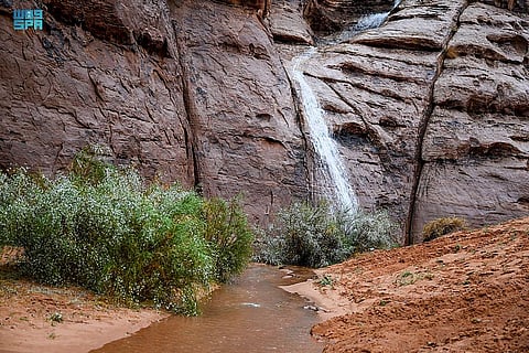 الأمطار تضفي جمالًا على الطبيعة المتنوعة في مركز الزيتة بتبوك