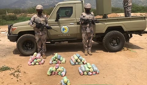 القات المخدر