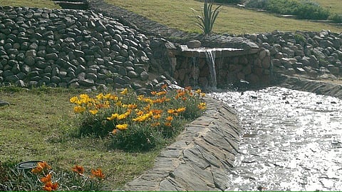 بعد تأهيله وتطويره.. زوار متنزه الأمير سعود بن عبدالمحسن بحائل يستمتعون بجمال الطبيعة