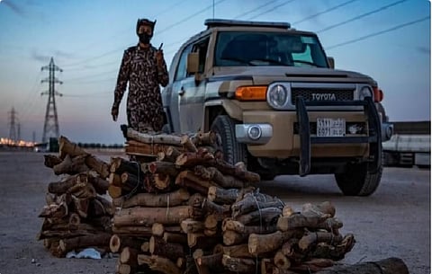 الأمن البيئي