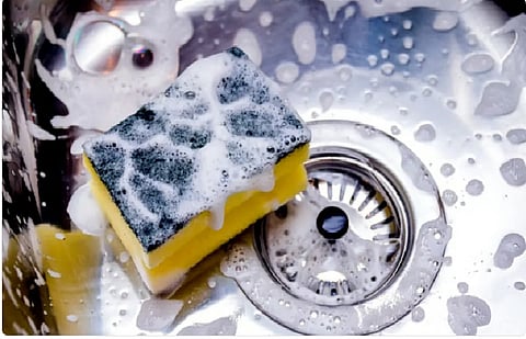 إسفنجة غسيل الأطباق